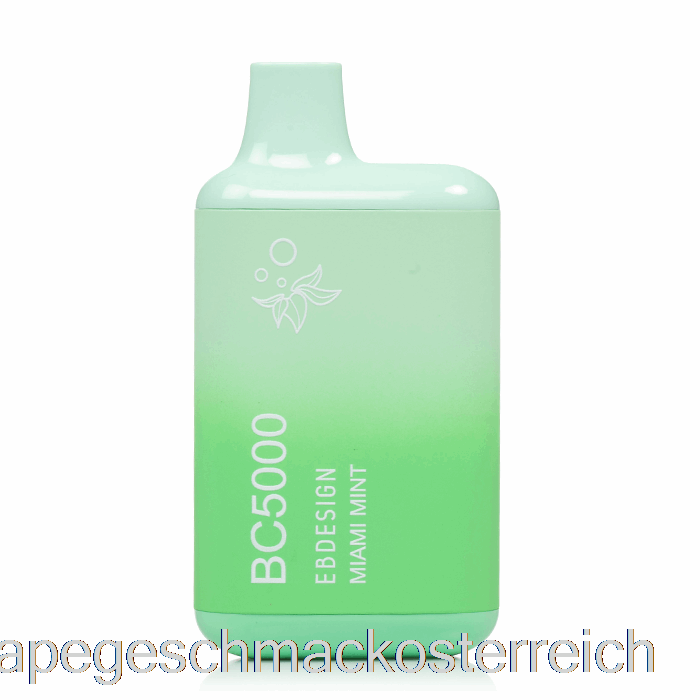 Bc5000 Einweg-Miami-Mint-Vape-Geschmack